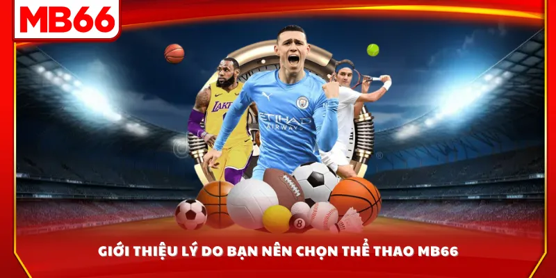 Giới thiệu lý do bạn nên chọn thể thao MB66