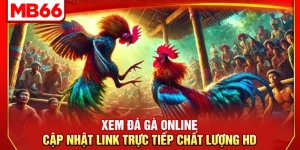 Xem Đá Gà Online – Cập Nhật Link Trực Tiếp Chất Lượng HD