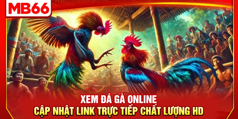 Xem Đá Gà Online – Cập Nhật Link Trực Tiếp Chất Lượng HD