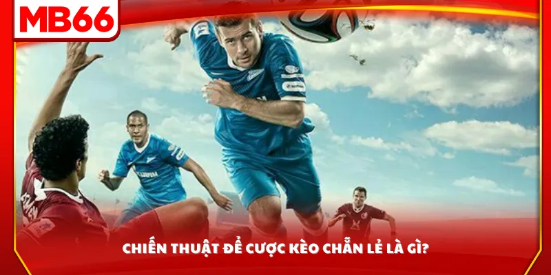 Chiến thuật để cược kèo chẵn lẻ là gì?