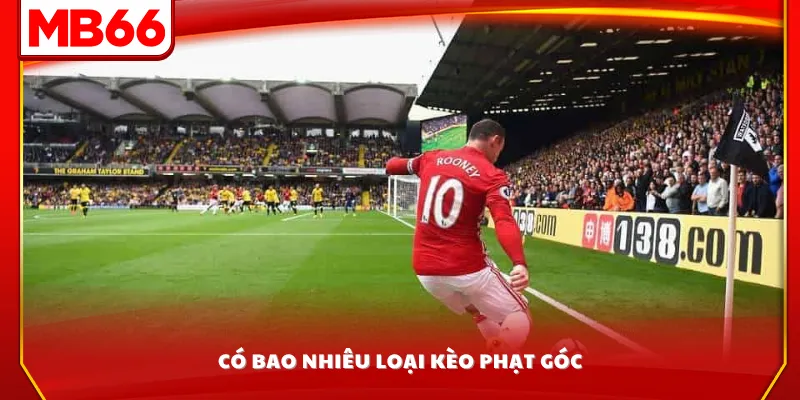 Có bao nhiêu loại kèo phạt góc