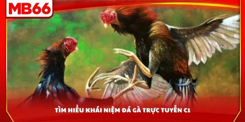 Tìm hiểu khái niệm đá gà trực tuyến C1